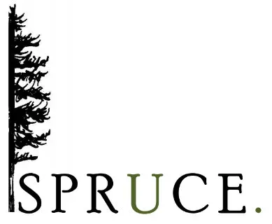 Spruce — IT Consulting & Network Infrastructure